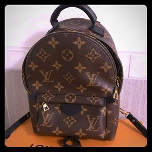 authentic palm springs mini